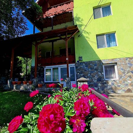 Vila Giulia Voineasa Exteriér fotografie