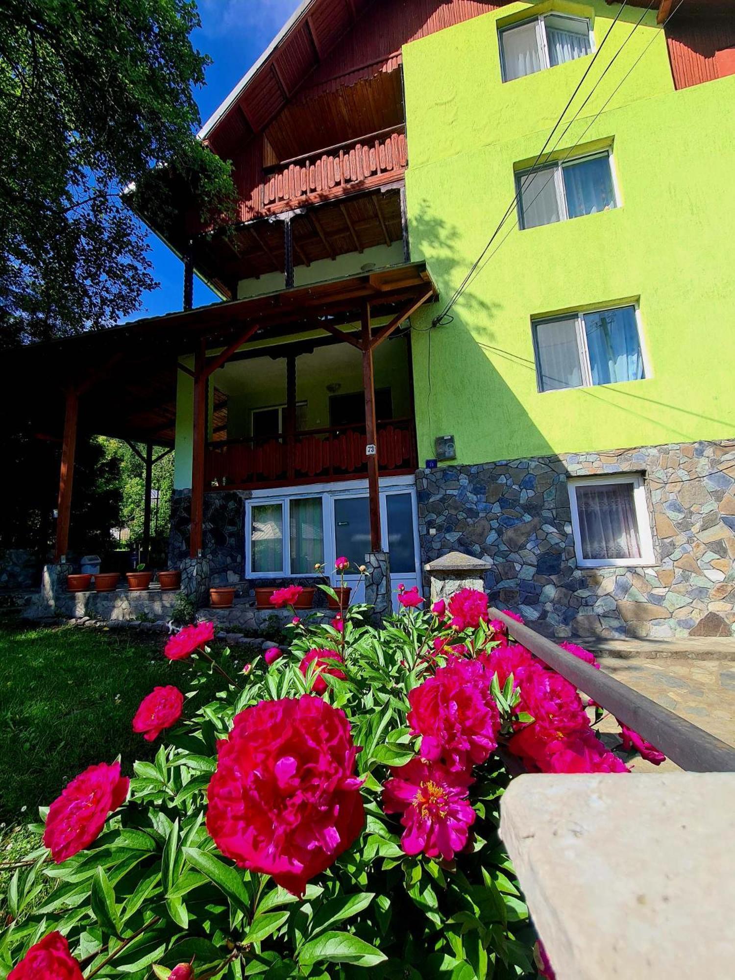 Vila Giulia Voineasa Exteriér fotografie