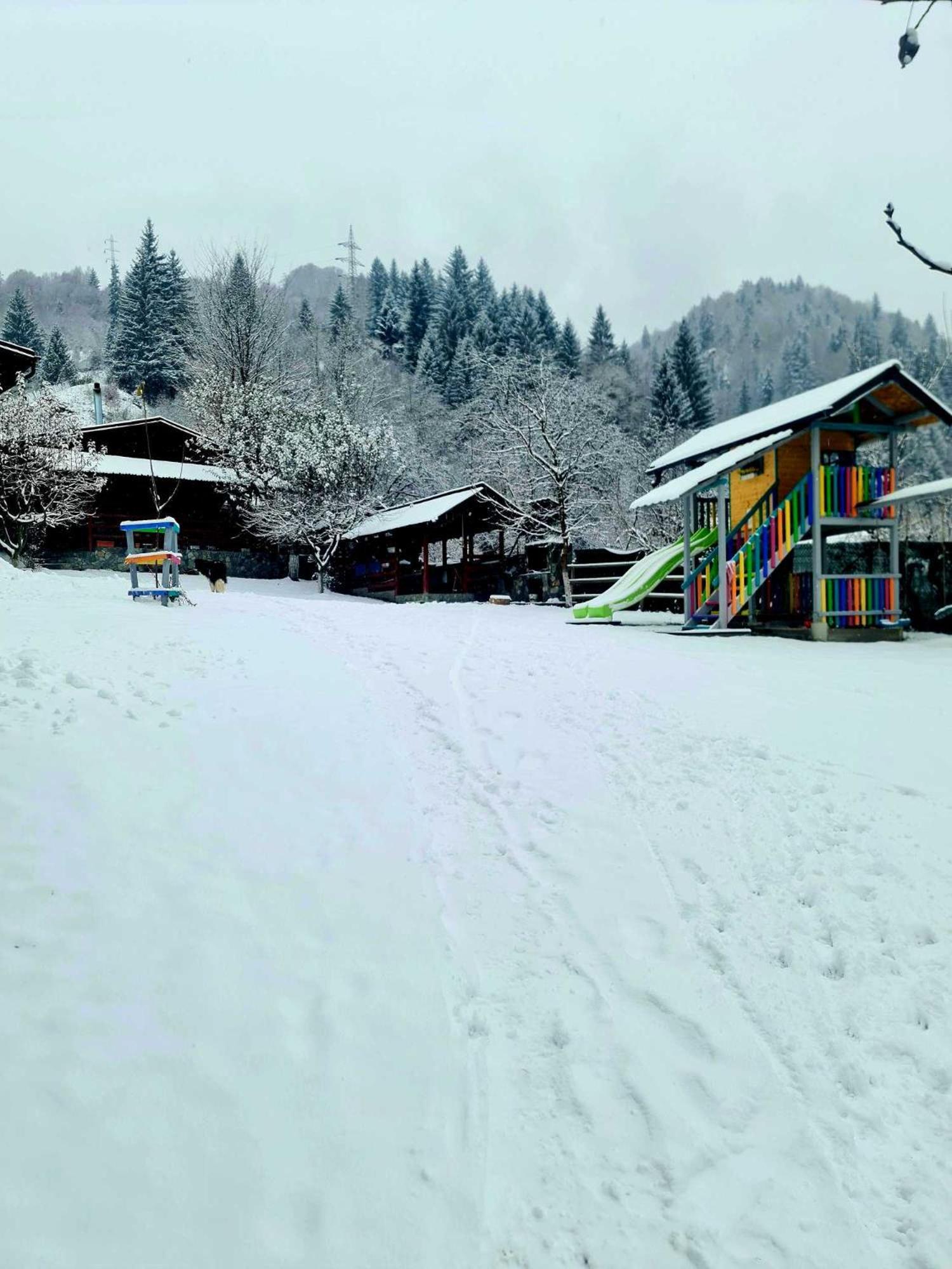 Vila Giulia Voineasa Exteriér fotografie